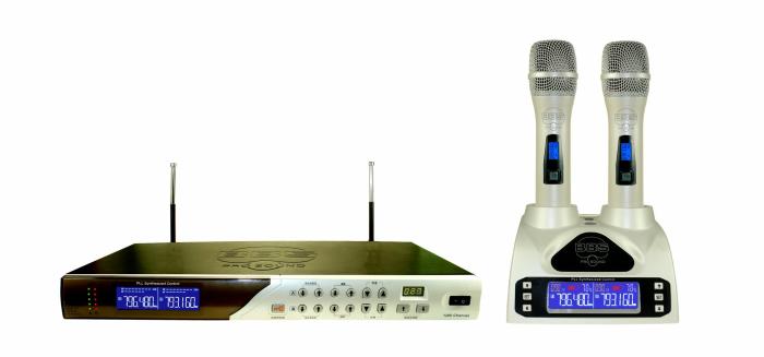 MICRO BBS KHÔNG DÂY (2MIC) - U5000